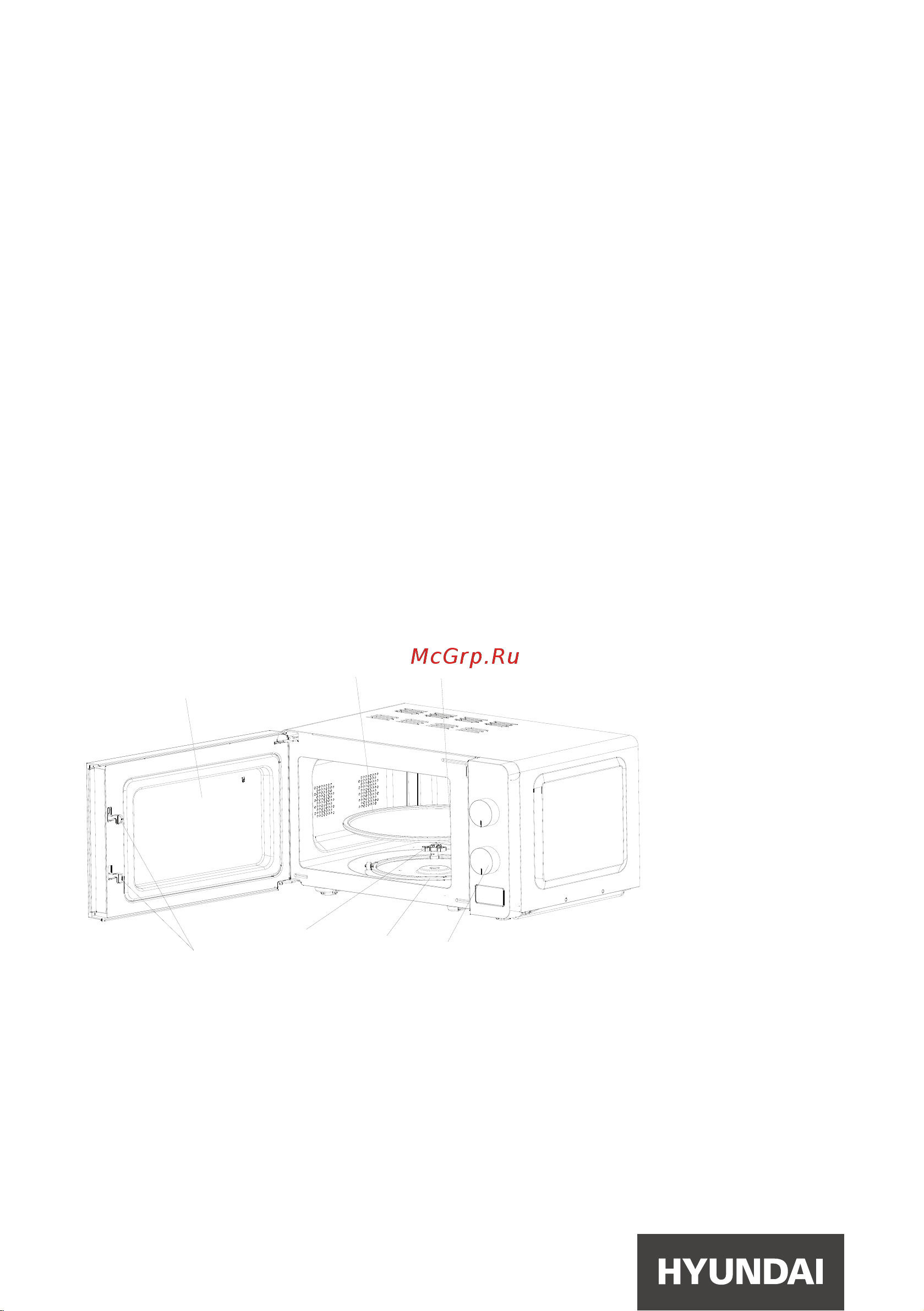 Hyundai HYM-M2001 Руководство по эксплуатации онлайн [12/24] 560228