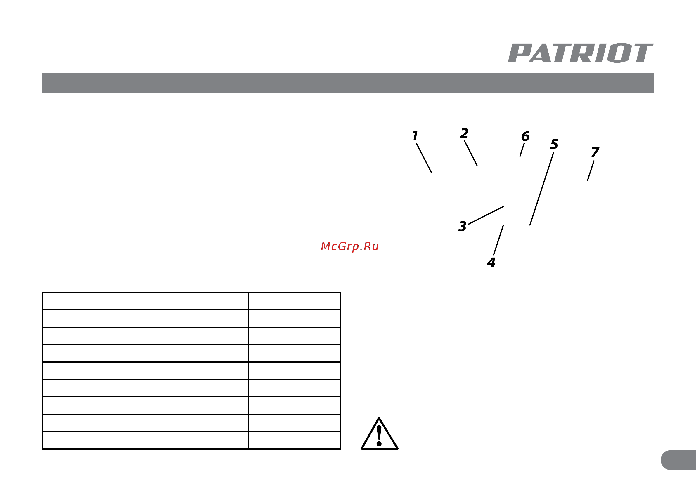 Patriot FS 306 Руководство по эксплуатации онлайн [4/10] 184013