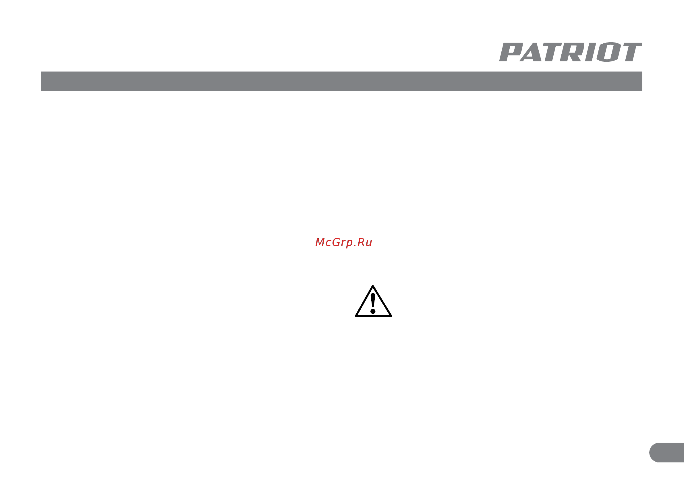 Patriot MS 210 Руководство по эксплуатации онлайн [4/15] 328467