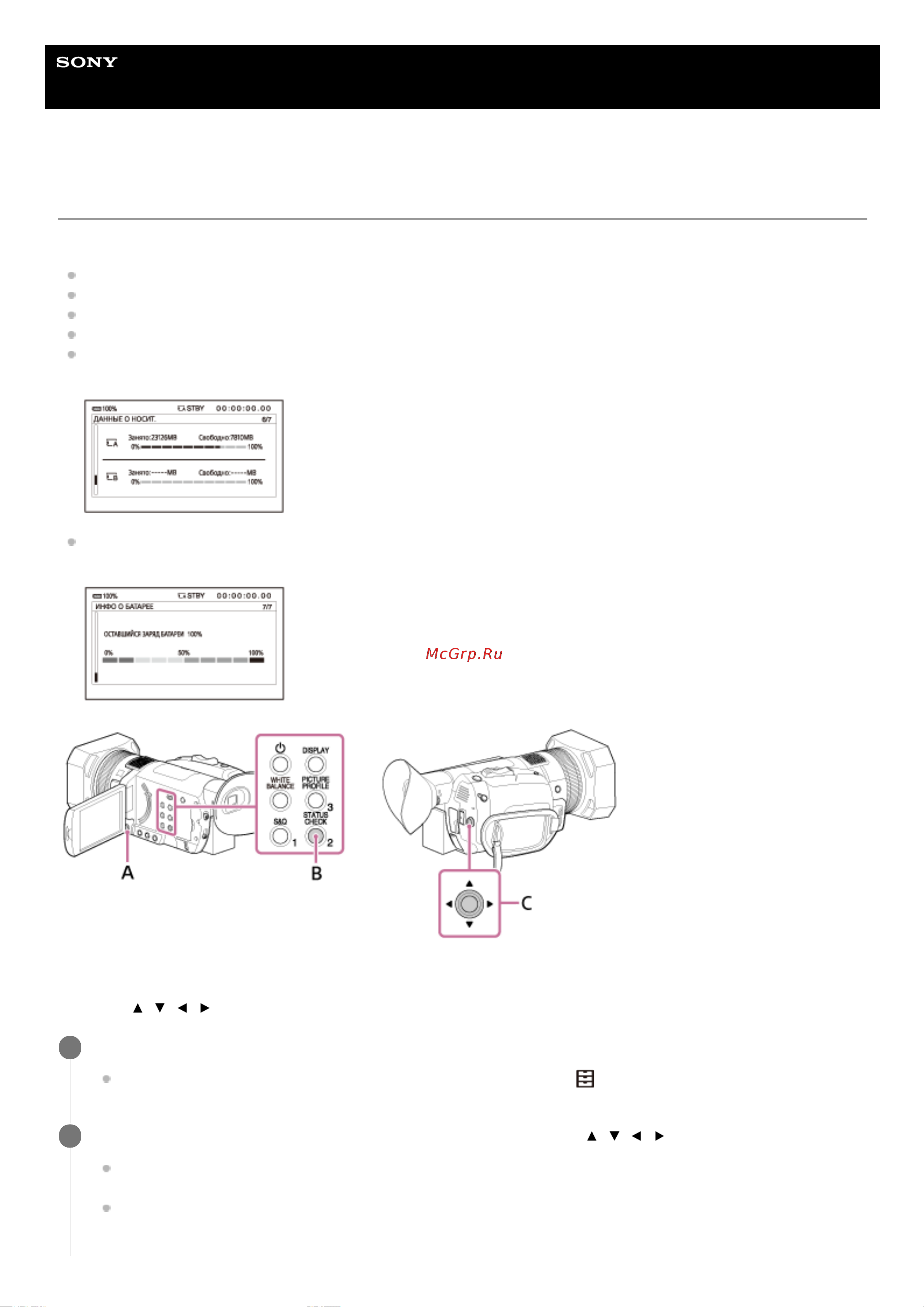 Sony FDR-AX700 Руководство по эксплуатации онлайн [115/307] 345350