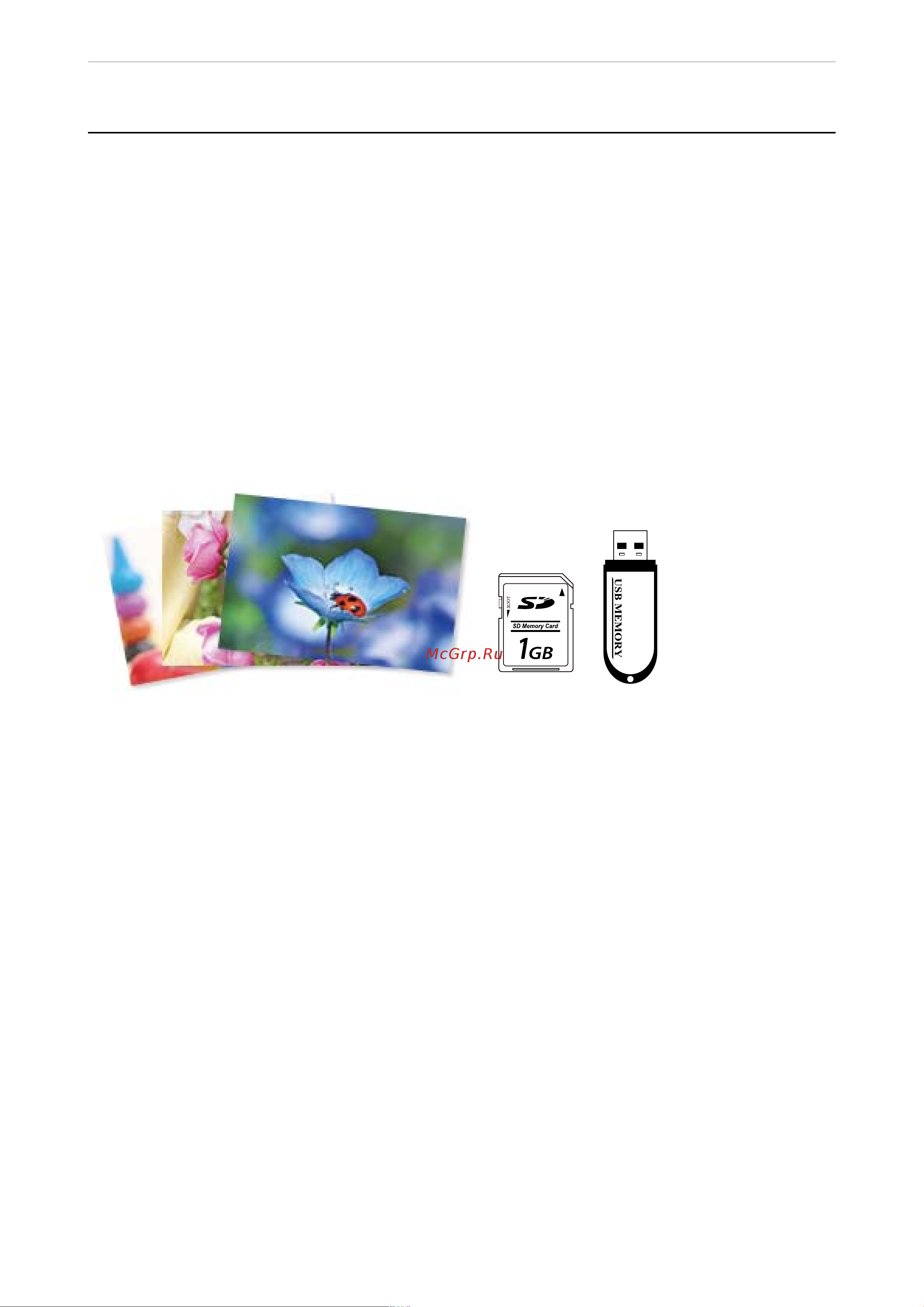 Epson EcoTank L8160 Руководство по эксплуатации онлайн [49/304] 650729