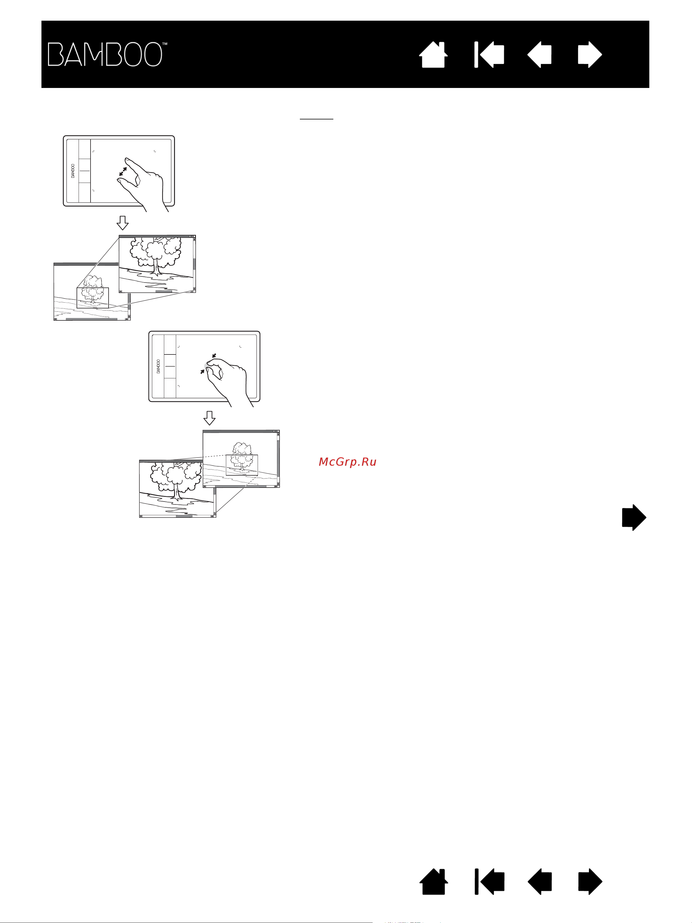 Wacom BAMBOO PEN Руководство по эксплуатации онлайн [22/95] 16191