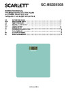 Scarlett SC-BS33E035 Руководство пользователя