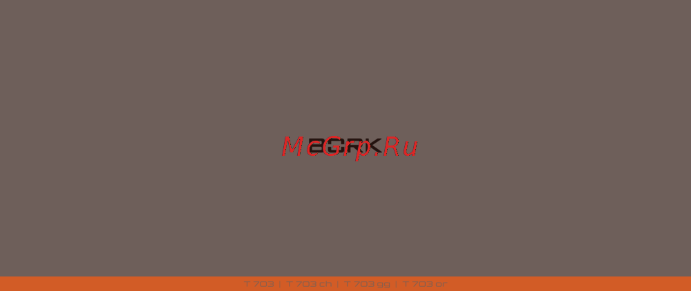 Bork T703 Gold Инструкция по эксплуатации