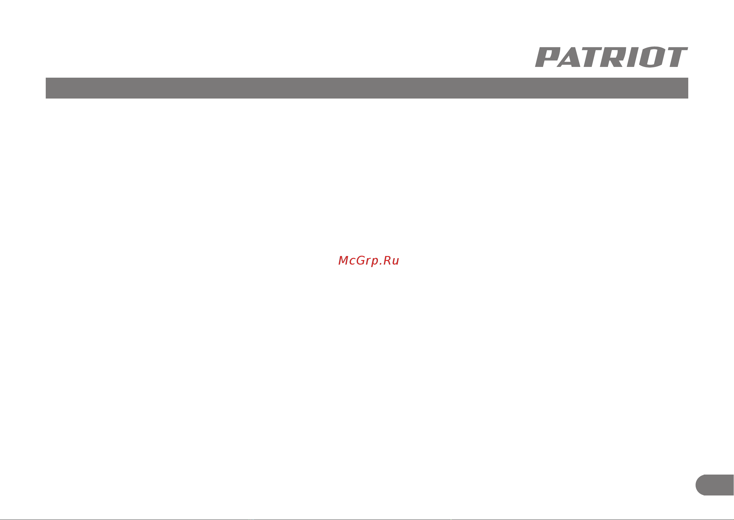 Patriot DM 090 Эксплуатационная инструкция онлайн [2/8] 995228